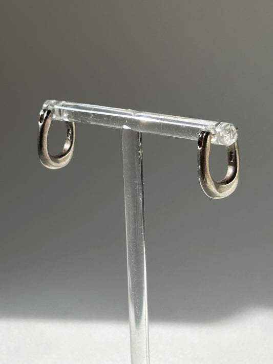 Silver Horsehoe Hoops